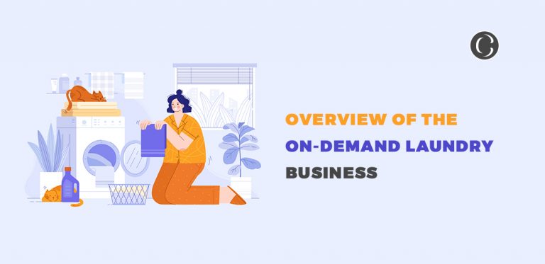 Insights Of An On-Demand Laundry Business