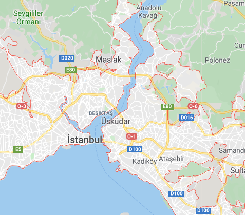 Challenges associated with Turkish micro-mobility (E Scooter business) market 